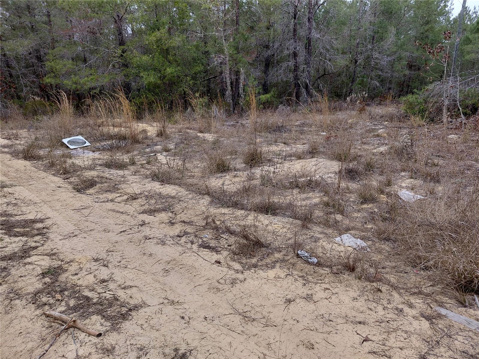 PARADISE VIEW ESTATES - Land