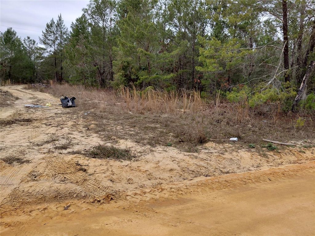 Photo of 0 Oak Terrace, Interlachen, FL 32148 (MLS # GC537370)