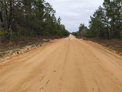 0 OAK TERRACE INTERLACHEN FL 32148