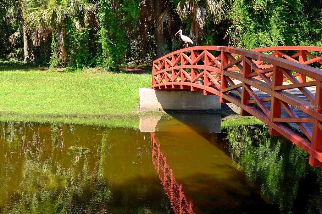 TURTLE ROCK - Residential