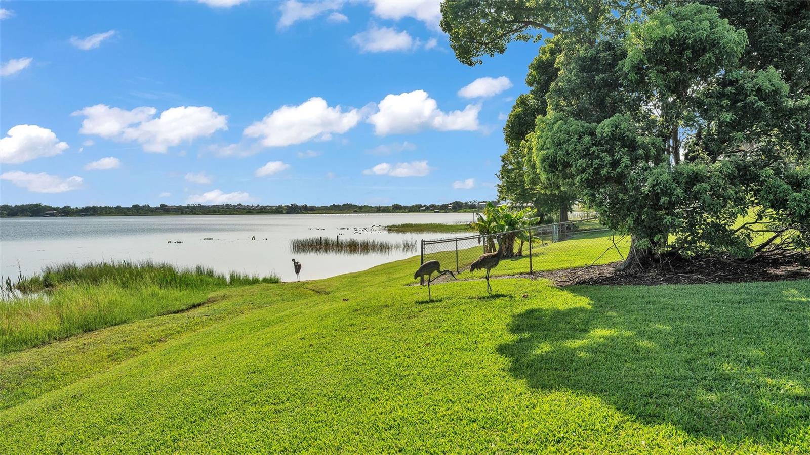 LAKE REGION PARADISE IS - Residential