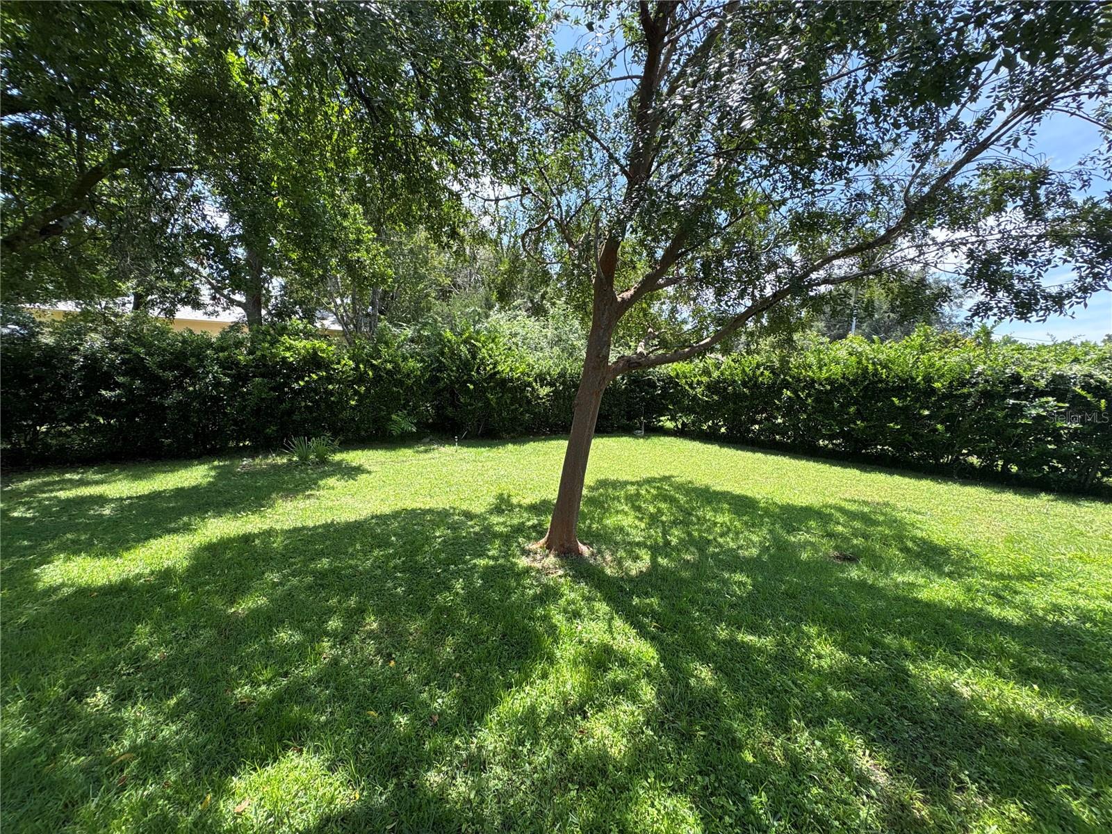 3123 N MAIDENCANE DRIVE