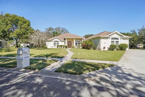 13750 DOWLING LANE ODESSA FL 33556