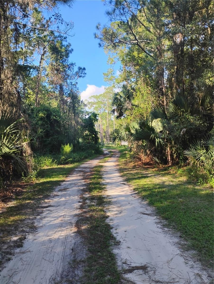 JESSIE AVENUE