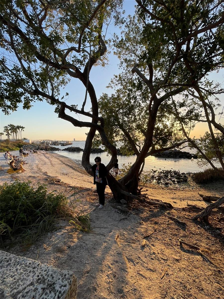 BUNGALOW HEIGHTS LORDS ADD 02 - Residential Lease