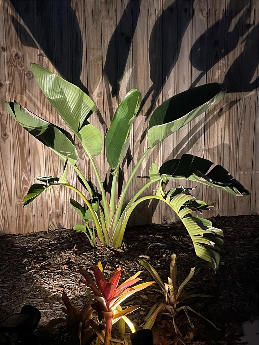 BUNGALOW HEIGHTS LORDS ADD 02 - Residential Lease