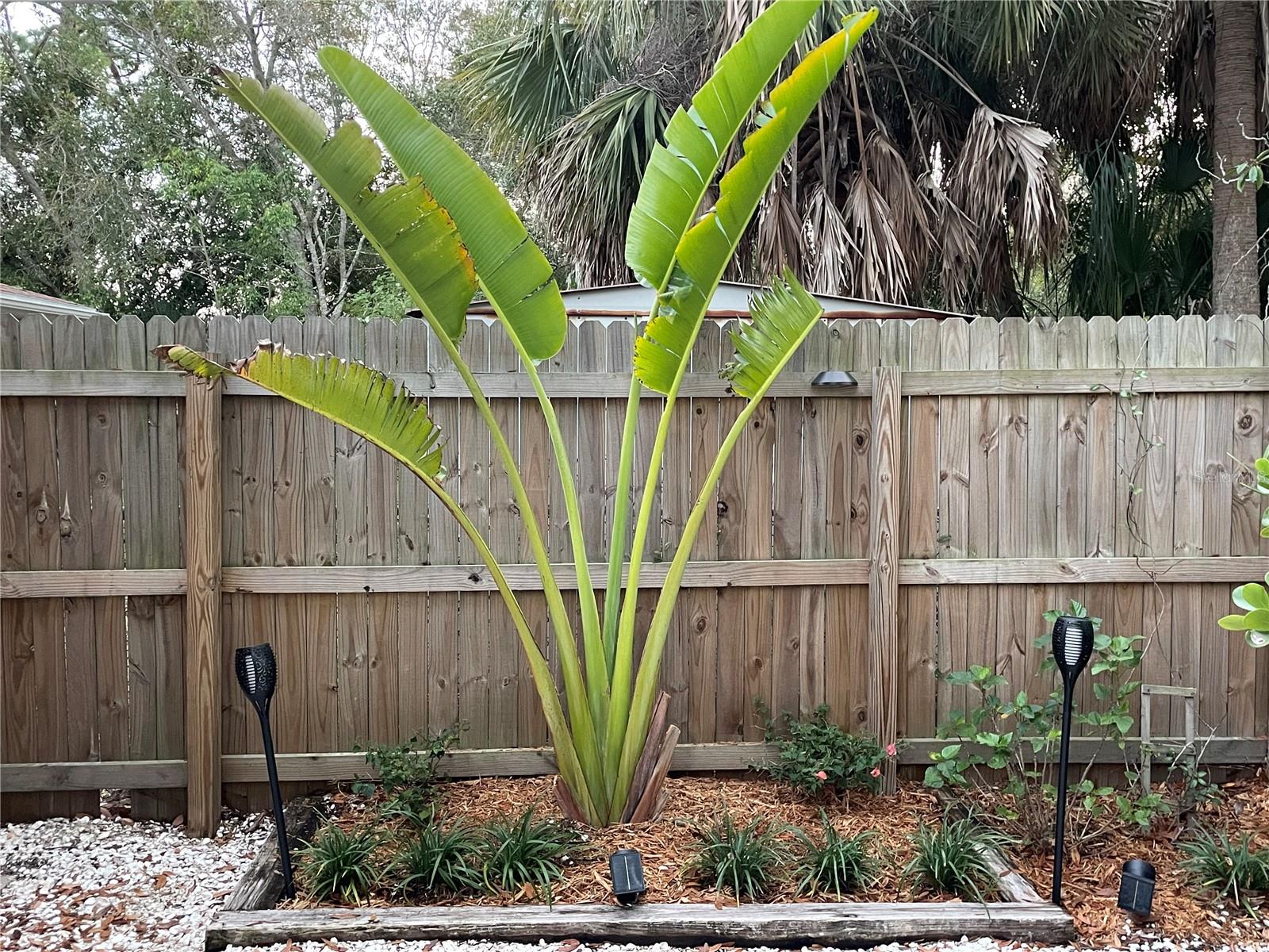 BUNGALOW HEIGHTS LORDS ADD 02 - Residential Lease