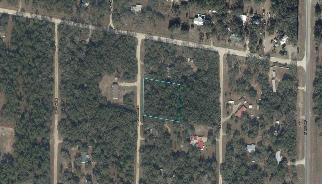 Photo of NE 139th Avenue, Williston, FL 32696 (MLS # O6370240)