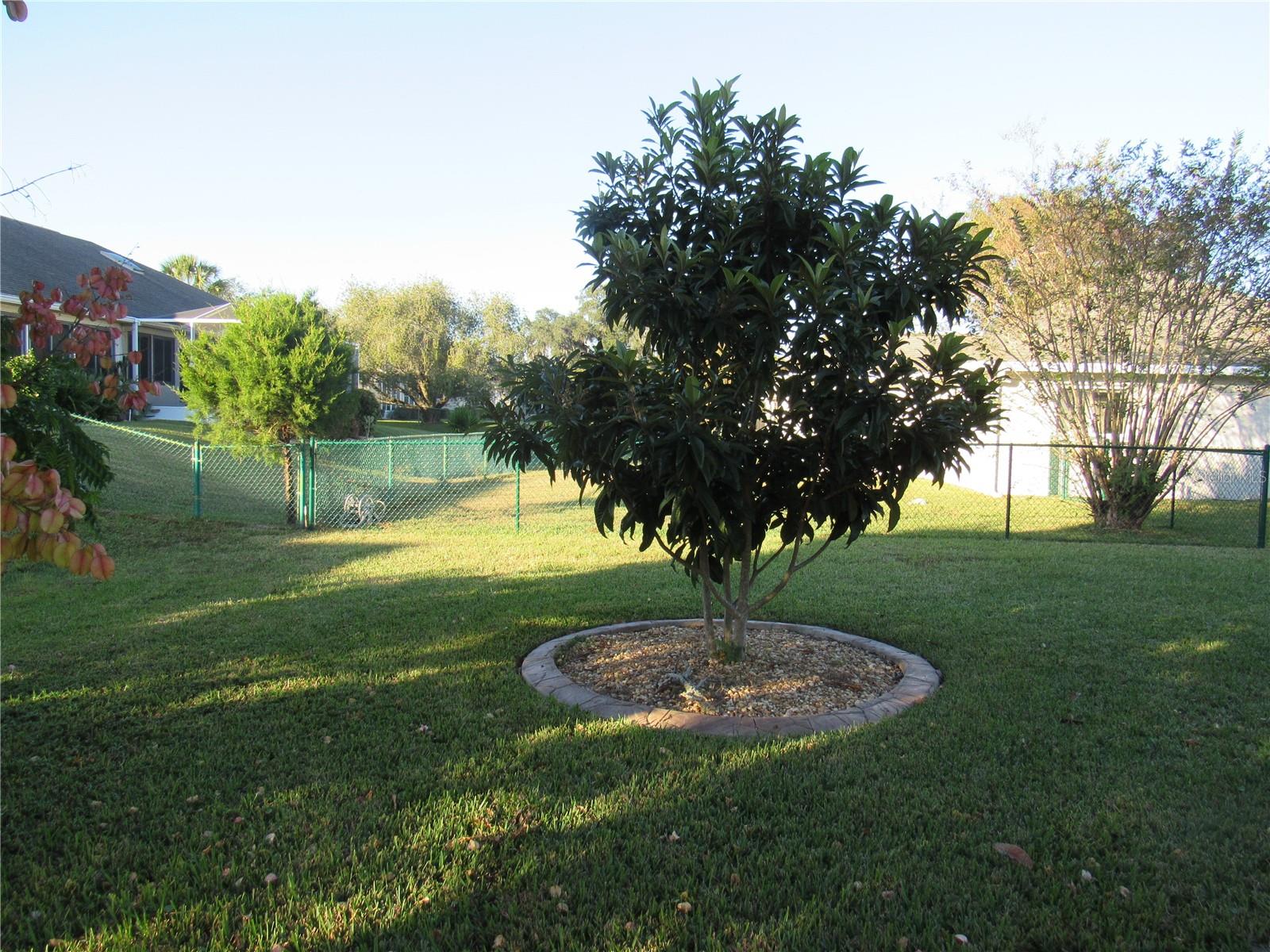 OCALA PALMS UN 01 - Residential