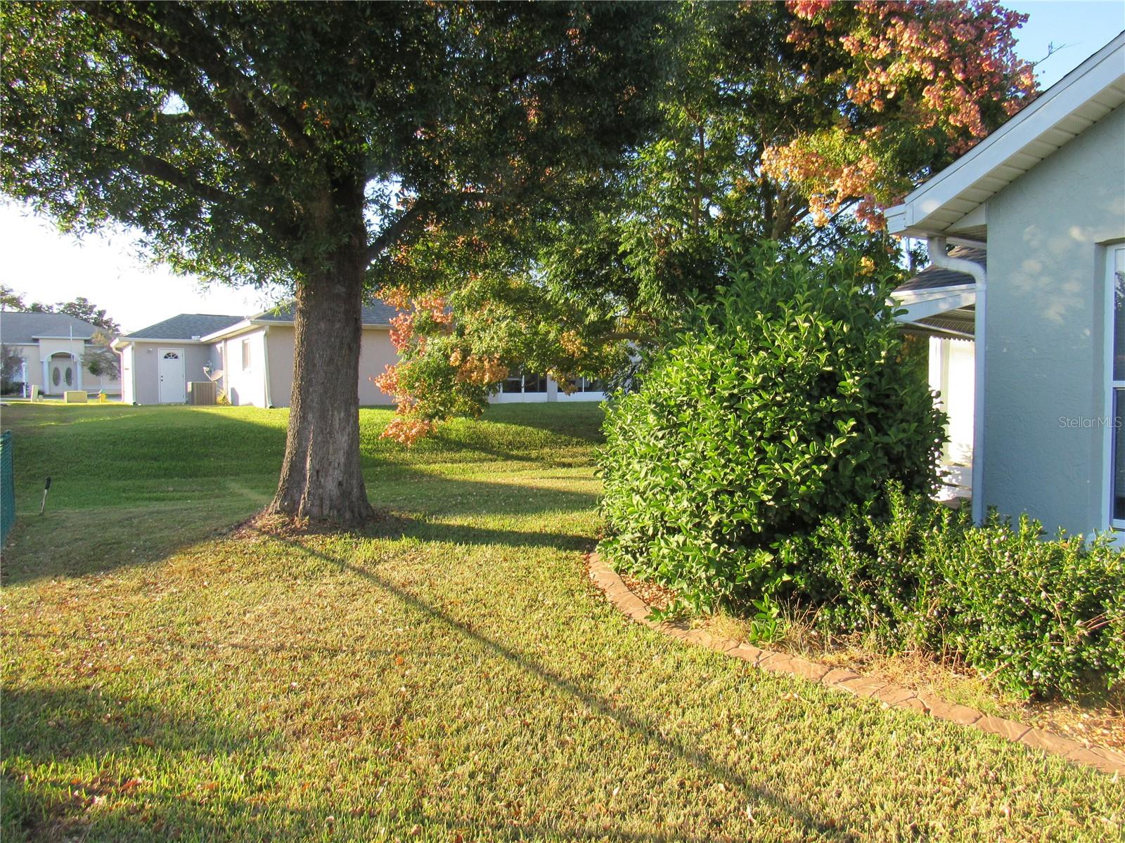 OCALA PALMS UN 01 - Residential