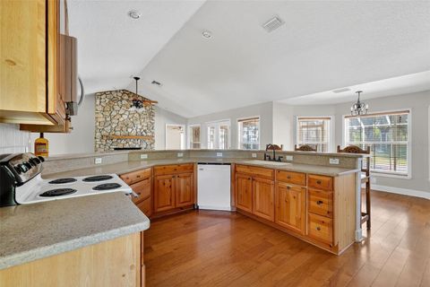 Tiny photo for 13436 County Road 209, Oxford, FL 34484 (MLS # G5104427)