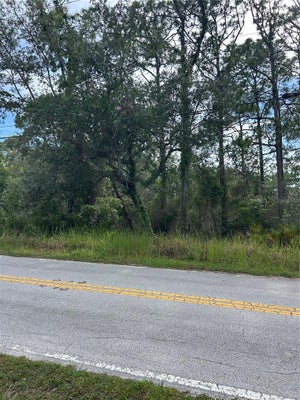 8131 NIGHTINGALE RD, WEEKI WACHEE, FL 34613 - Image 03d26b512f26c1907e1e6a9ff4f98f29/1458416990
