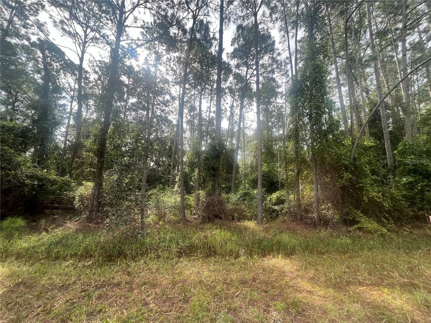 Owner financing available! Country living at its finest! Come see this beautiful 0.23-acre recently mulched lot located in the desirable Georgetown area. Perfect for building your dream home or bringing a manufactured home. Residents enjoy access to the St. Johns River Rod & Reel Club, complete with a boat ramp, fishing pier, and access to Lake George. Spend your days boating and fishing on the river and lake, or swimming in the crystal-clear waters of Salt Springs and Silver Glen Springs. Don’t miss this opportunity to own a slice of Florida paradise!