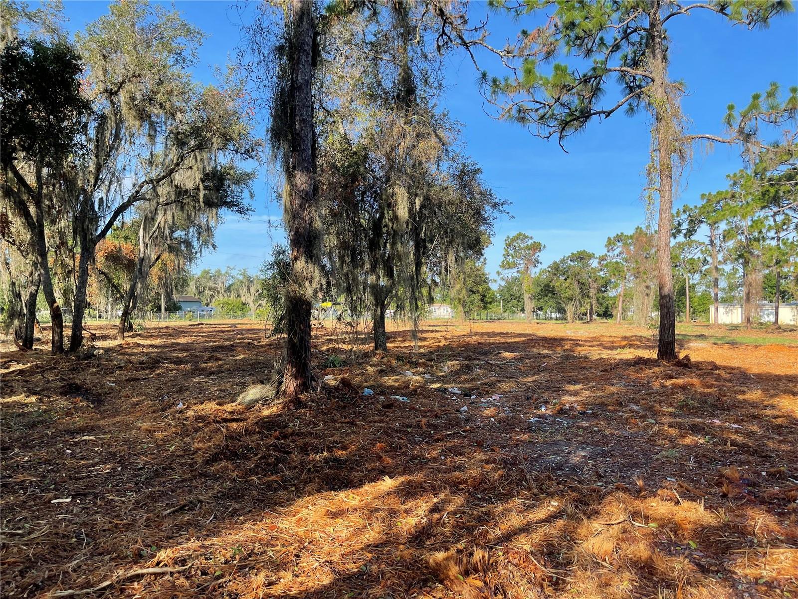 ST CLOUD MANOR ESTATES 01 - Land