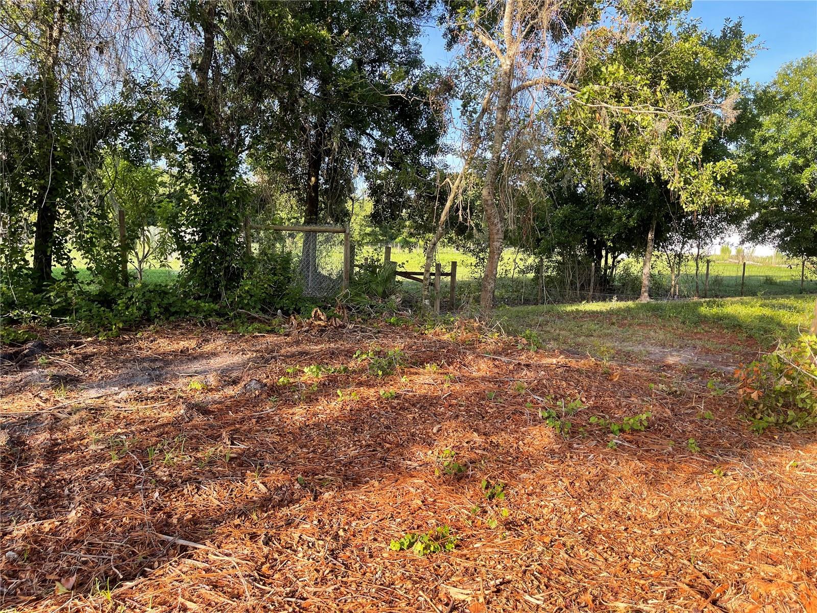 ST CLOUD MANOR ESTATES 01 - Land