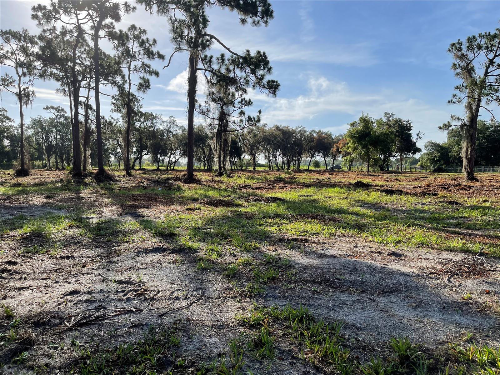 ST CLOUD MANOR ESTATES 01 - Land