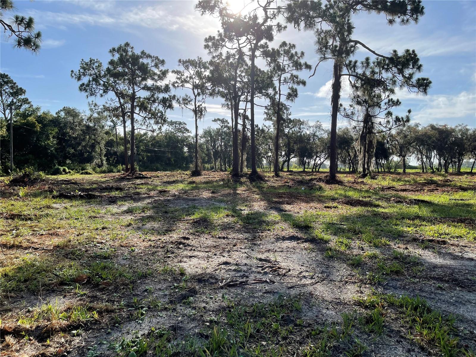 ST CLOUD MANOR ESTATES 01 - Land