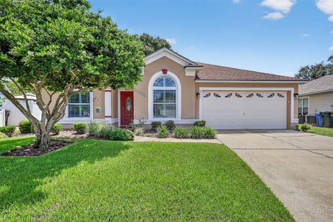 Photo of 11550 Wellman Drive, Riverview, FL 33578 (MLS # TB8401834)