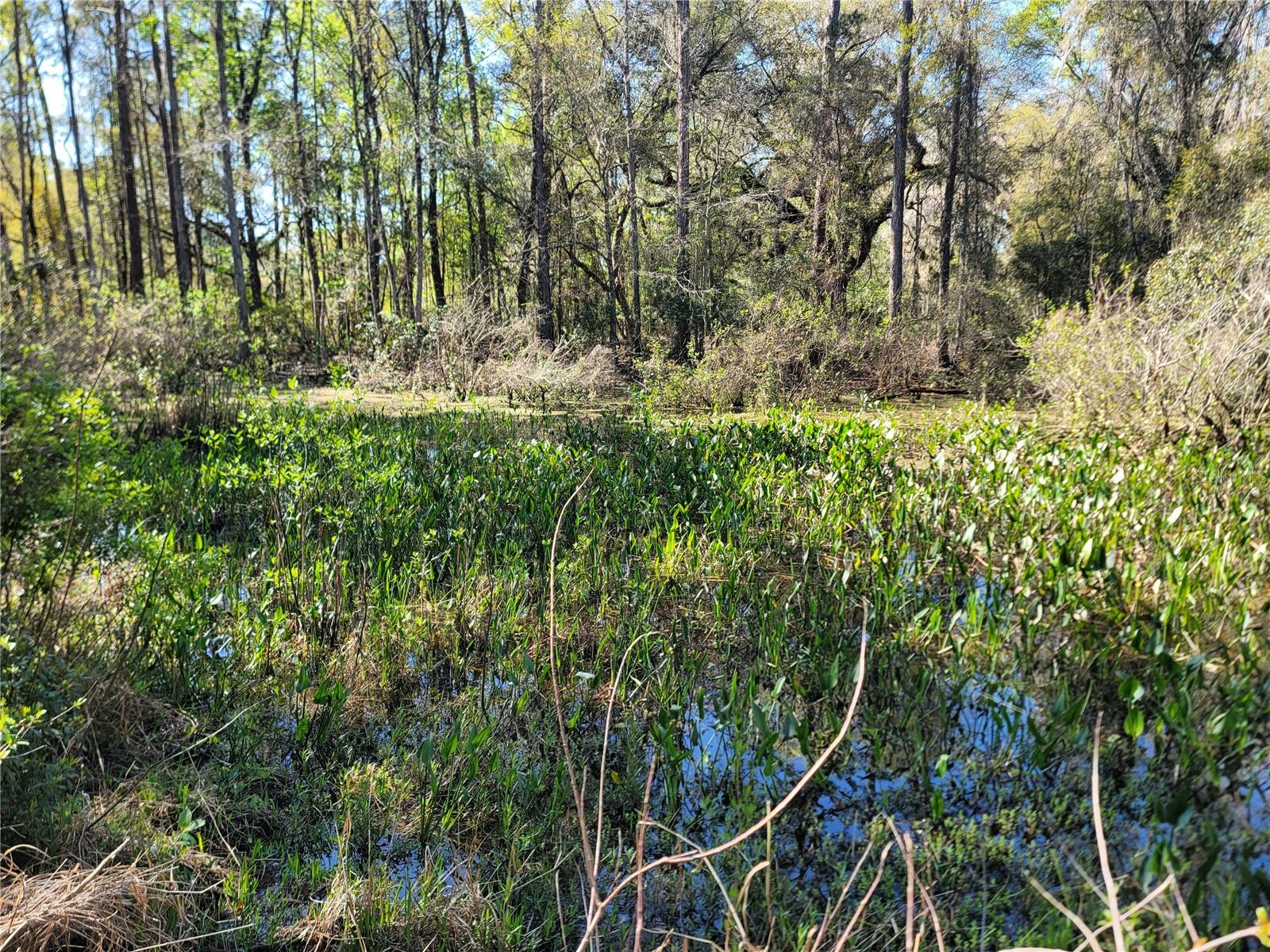 OLD CANNON FARMSITES - Residential
