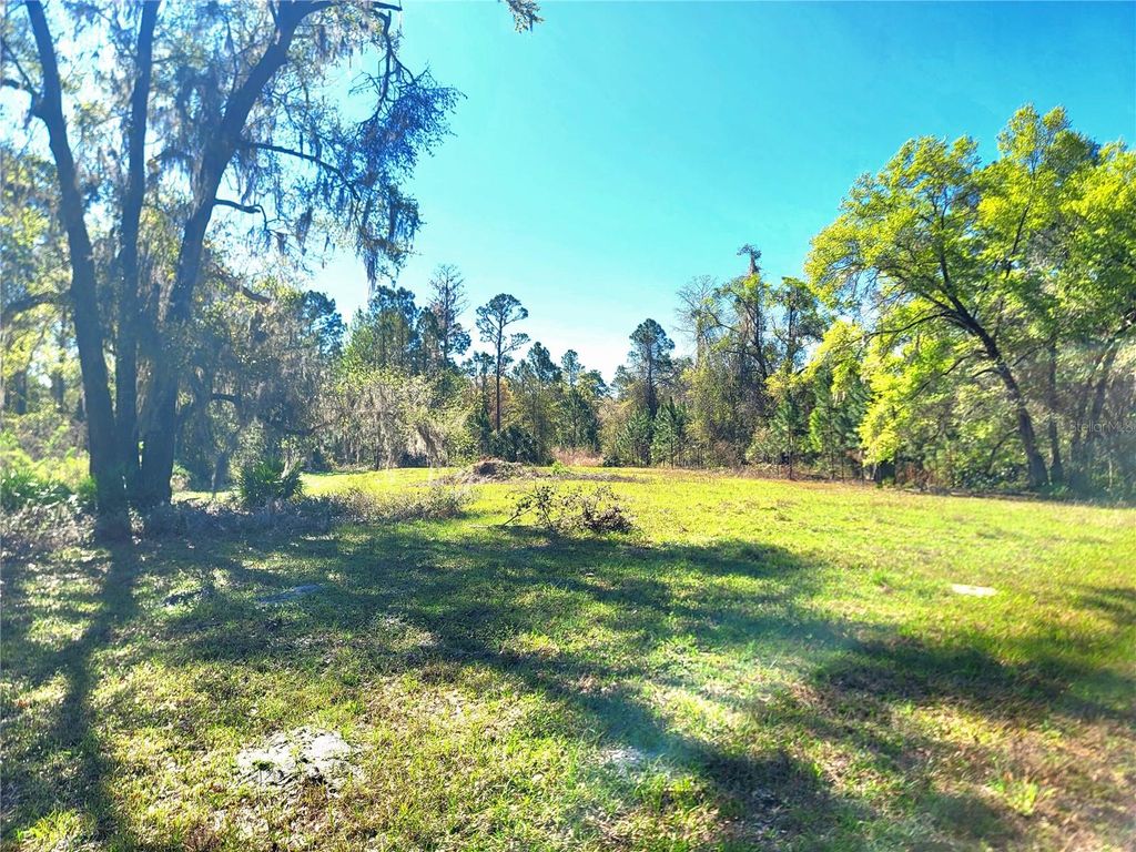 listing image 24
