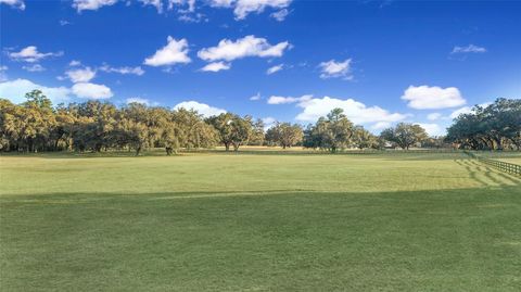 Tiny photo for 8038 NW 162nd Court, Morriston, FL 32668 (MLS # OM719294)