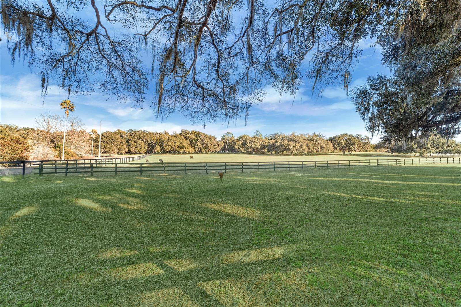 ROLLING MDWS - Residential