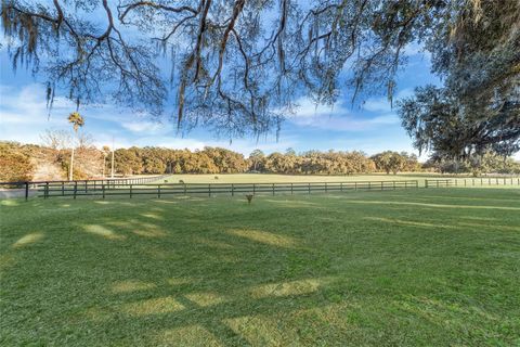 Tiny photo for 8038 NW 162nd Court, Morriston, FL 32668 (MLS # OM719294)