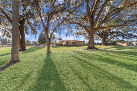 Tiny photo for 8038 NW 162nd Court, Morriston, FL 32668 (MLS # OM719294)