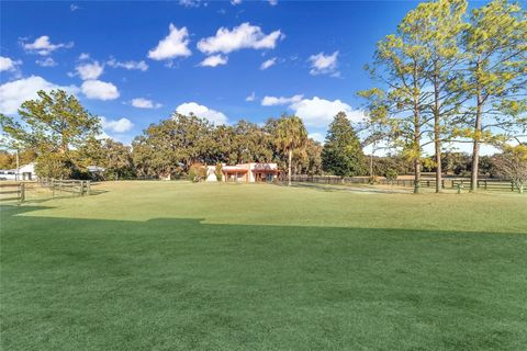Tiny photo for 8038 NW 162nd Court, Morriston, FL 32668 (MLS # OM719294)