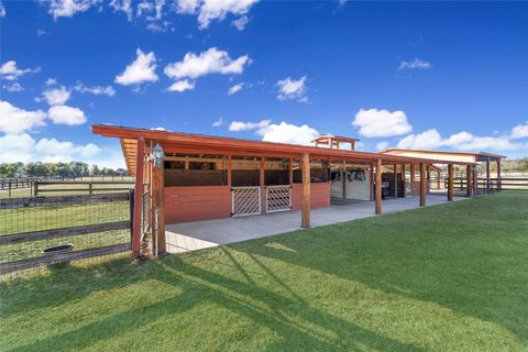 Tiny photo for 8038 NW 162nd Court, Morriston, FL 32668 (MLS # OM719294)