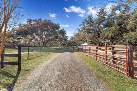 Tiny photo for 8038 NW 162nd Court, Morriston, FL 32668 (MLS # OM719294)