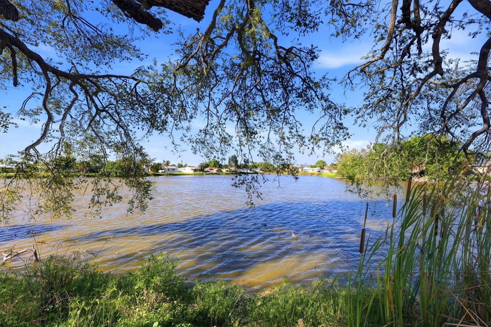 SOUTH VENICE - Residential