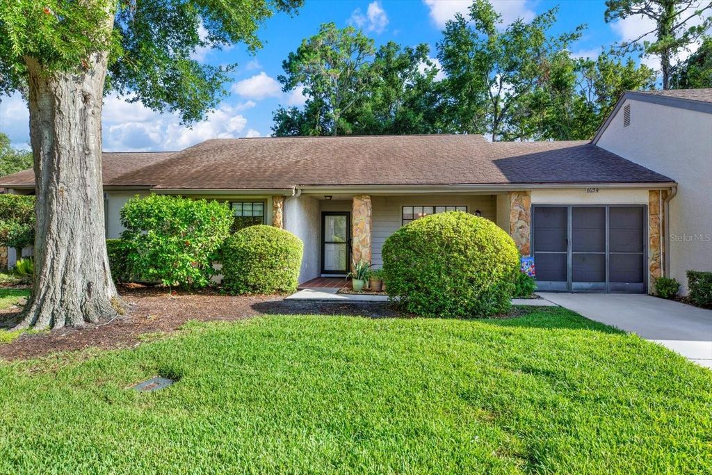 Photo of 6654 Brambleleaf Drive, Spring Hill, FL 34606 (MLS # W7876952)