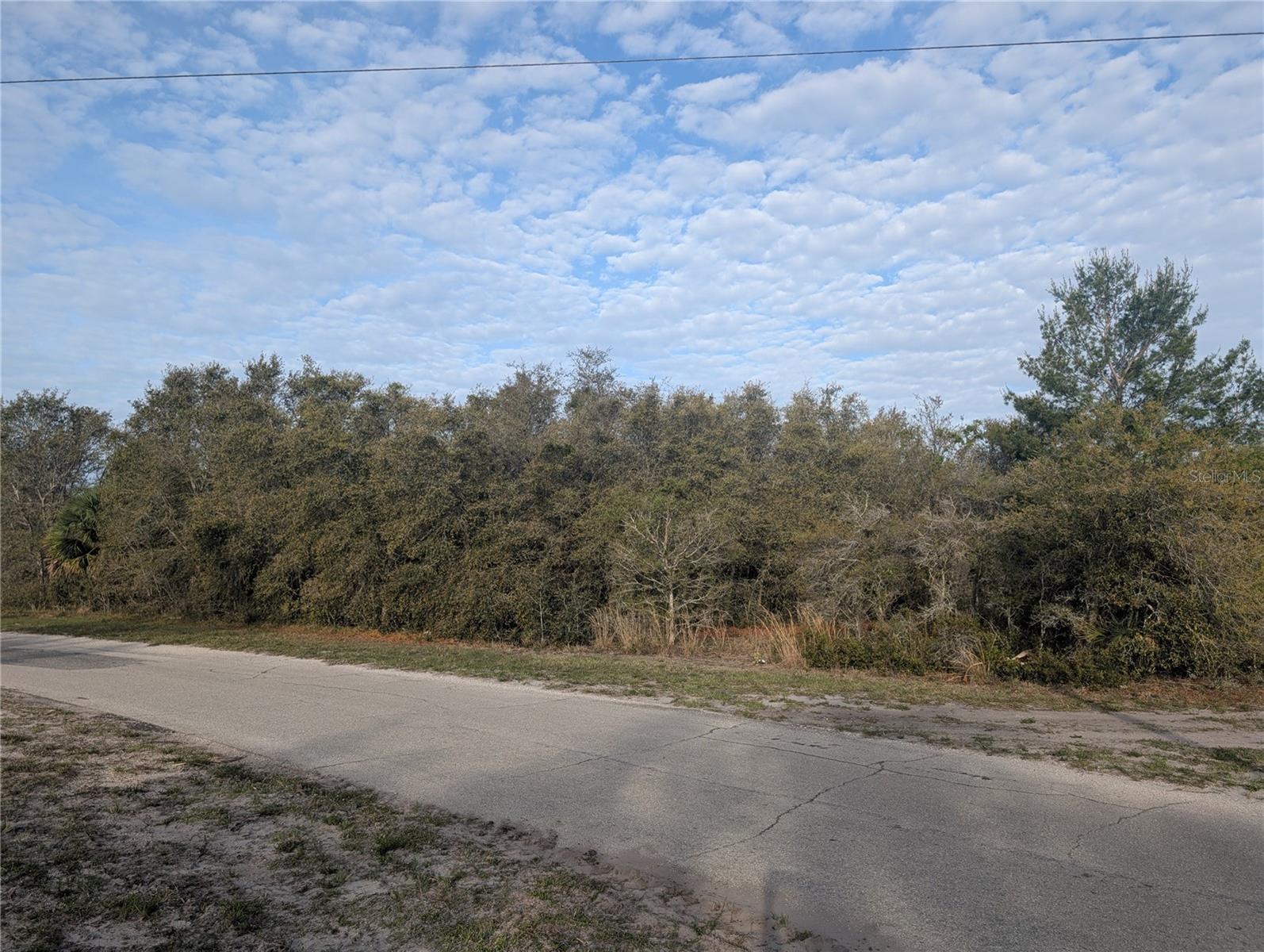 INDIAN LAKE ESTATES - Land