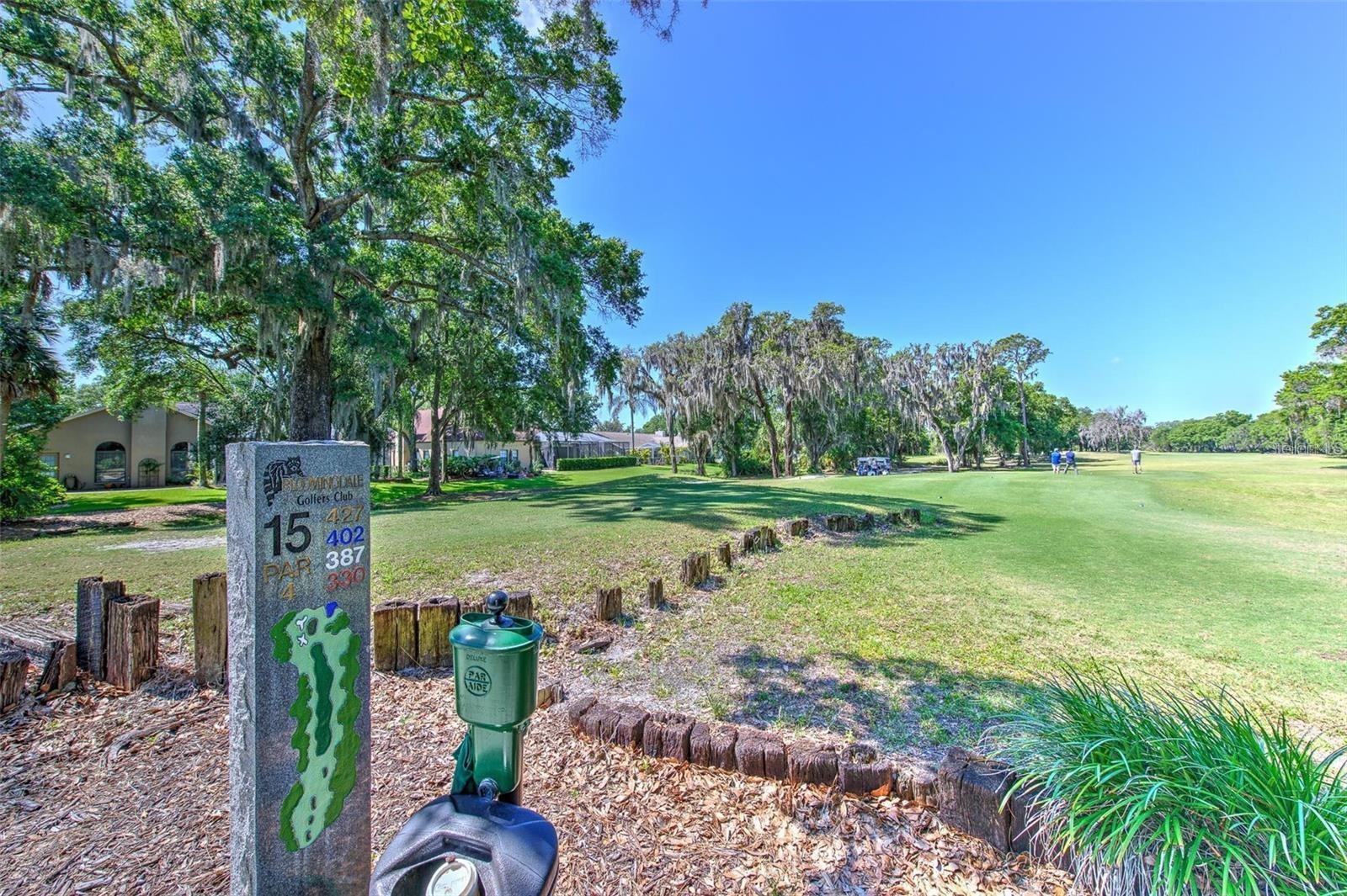 PINE GROVE CONDO AT BLOO - Residential