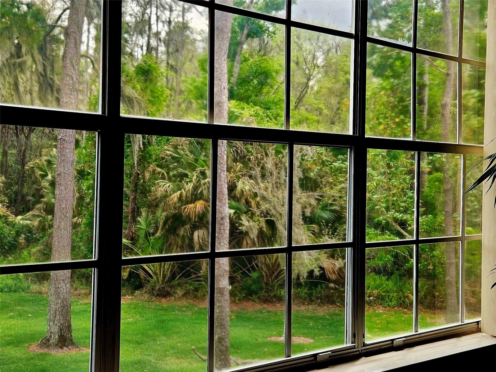 PINE GROVE CONDO AT BLOO - Residential