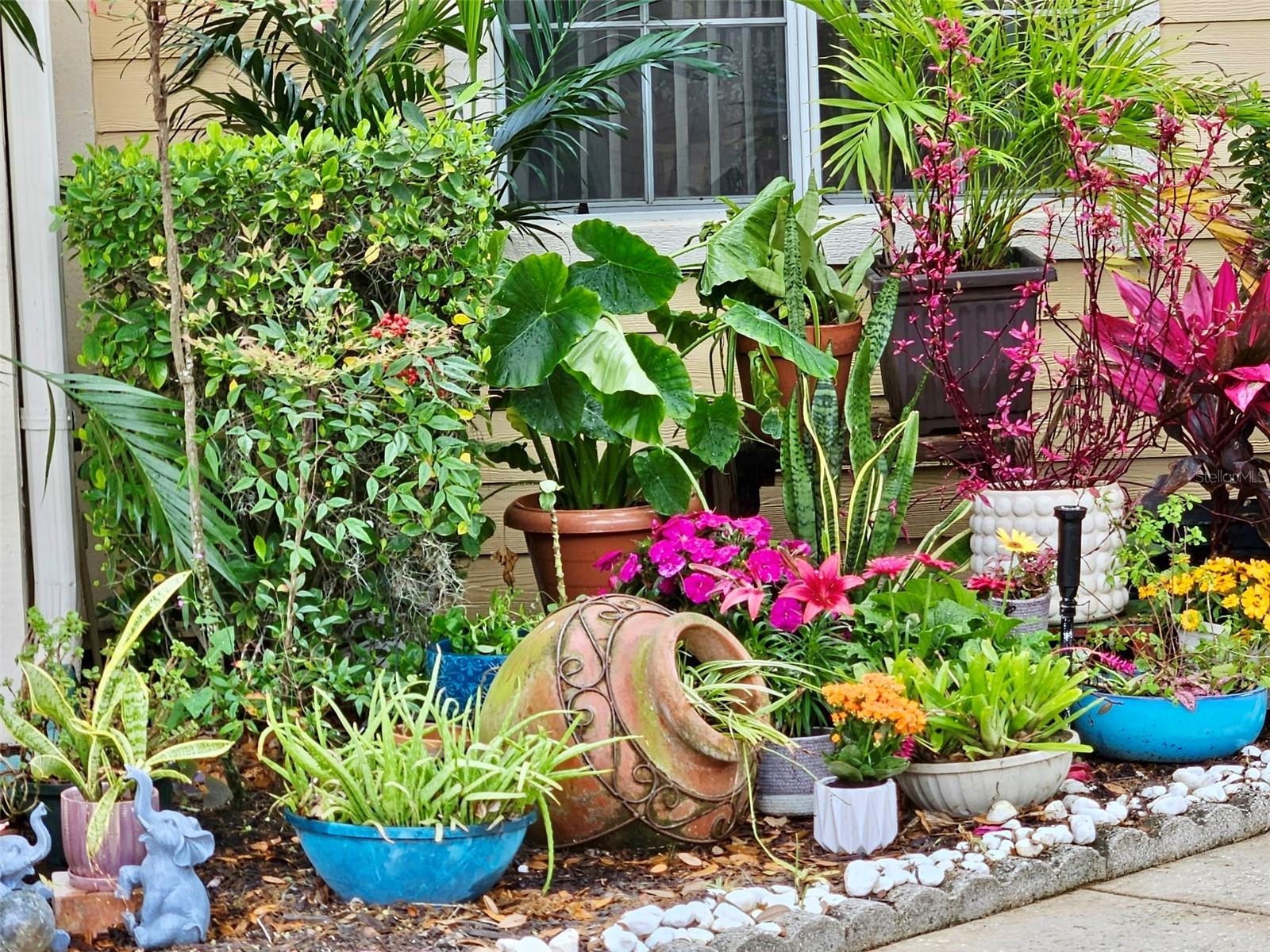 PINE GROVE CONDO AT BLOO - Residential