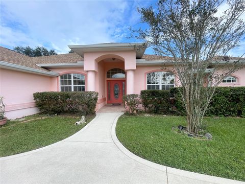 A home in PALM COAST