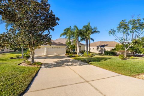 A home in DADE CITY