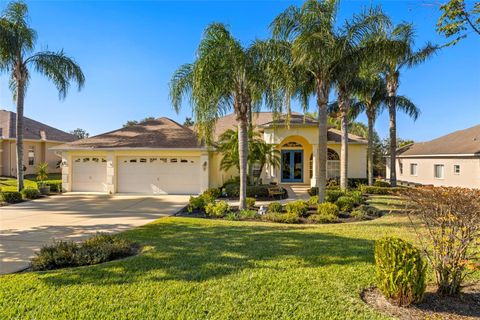 A home in DADE CITY