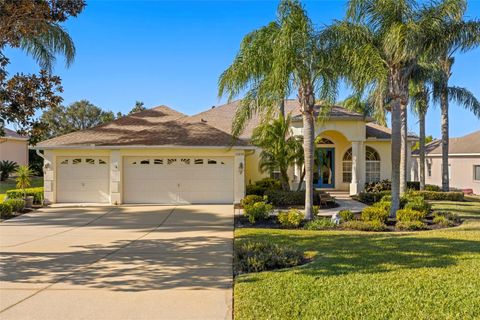 A home in DADE CITY