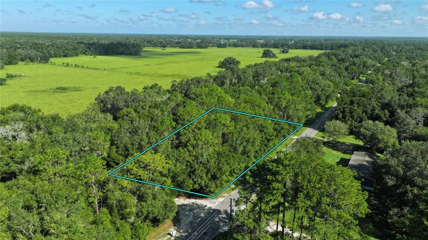 1.25-acre corner lot on a paved road in Dunnellon. Culvert and driveway already in place for easy access. Zoned A1 with no HOA, offering flexibility for residential or agricultural use. Surveyed and ready to build. Not in a flood zone.