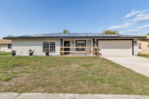 Photo of 4009 Orangefield Place, Valrico, FL 33596 (MLS # TB8481624)