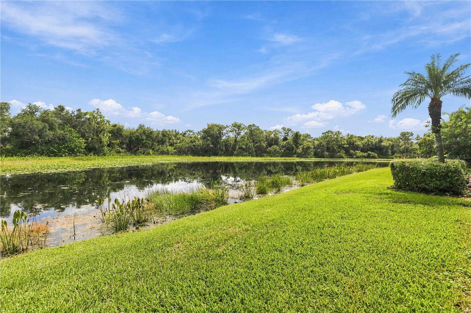 7409 GREEN STREET, UNIVERSITY PARK, FL, 34201 4 7409 GREEN STREET