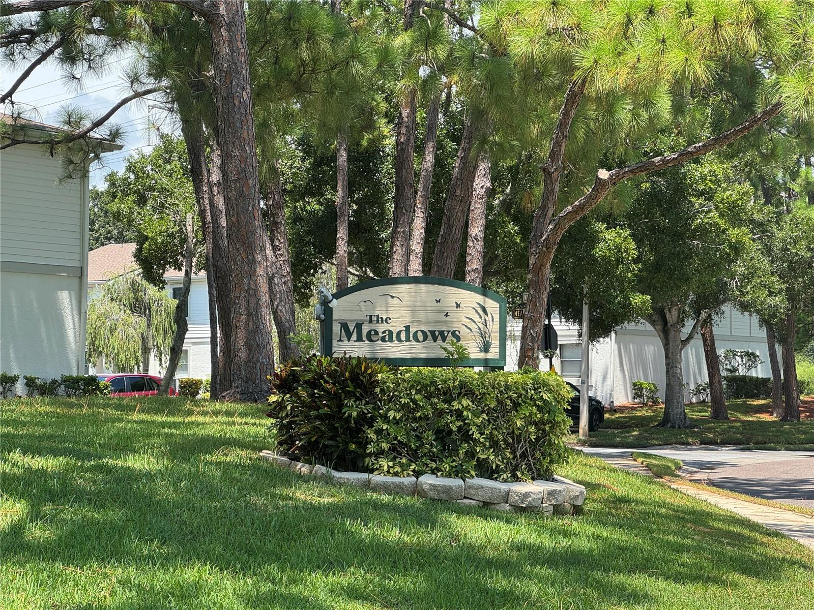 MEADOWS CONDO AT EAST LAKE WOODLANDS - Residential