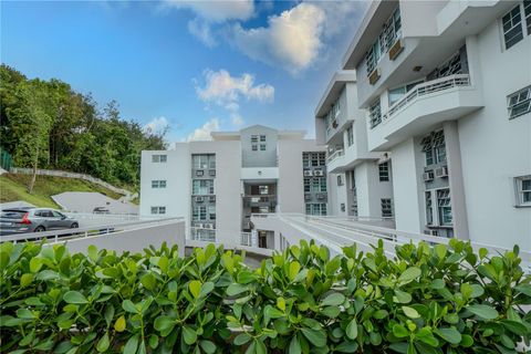 808 EL BOSQUE 808 GUAYNABO  00971