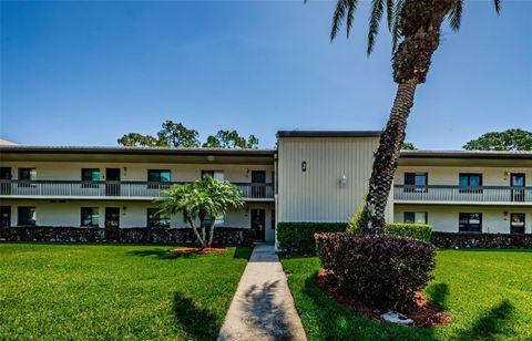 124 NINA WAY 24 OLDSMAR FL 34677