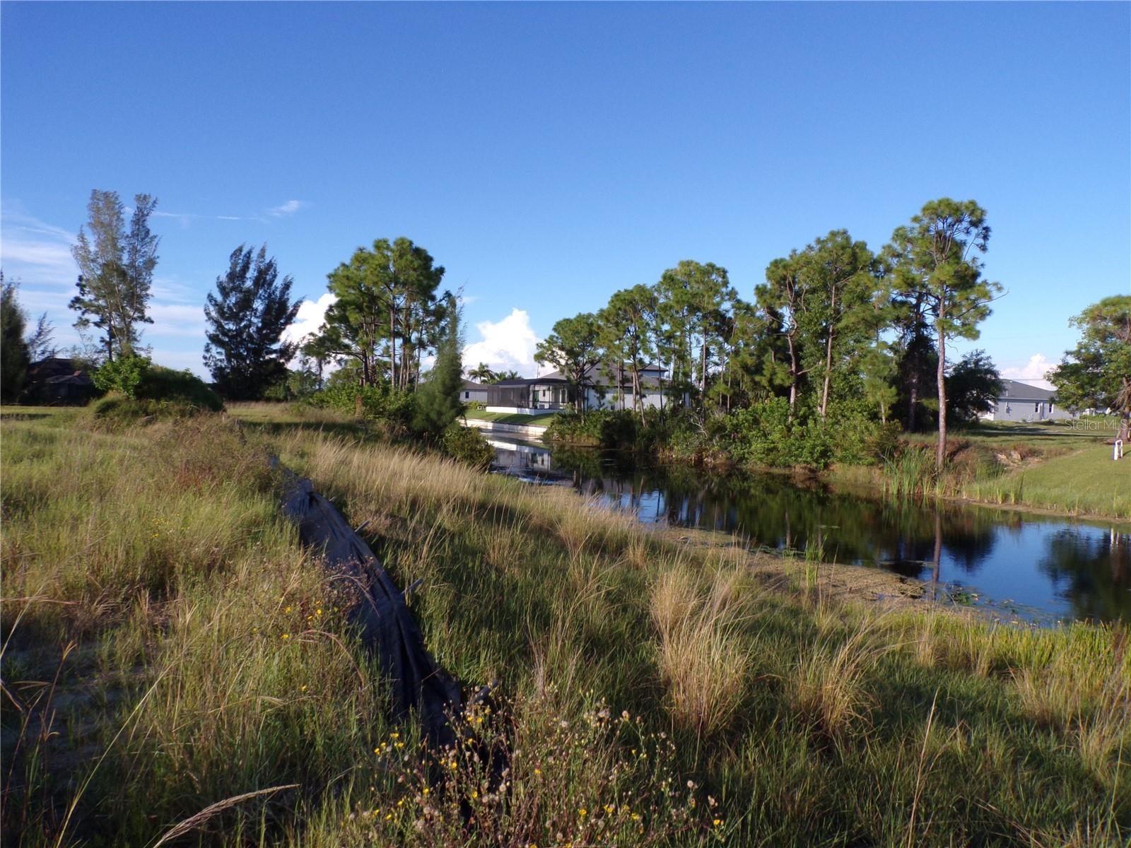 CAPE CORAL - Land