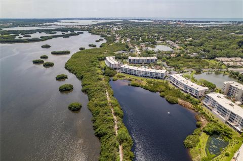 A home in ST PETERSBURG