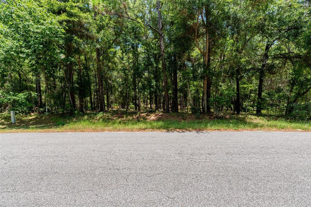 Photo of SW 73 Loop, Dunnellon, FL 34432 (MLS # G5096996)